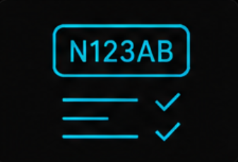 Aviation-specific parsing